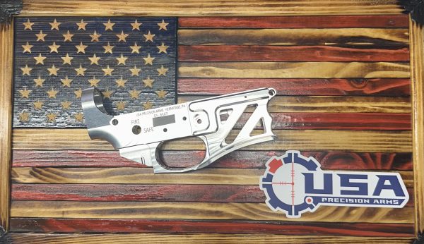 Stripped AR15 Skeletonized Raw