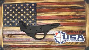 Stripped AR15 Single Shot Anodized Black